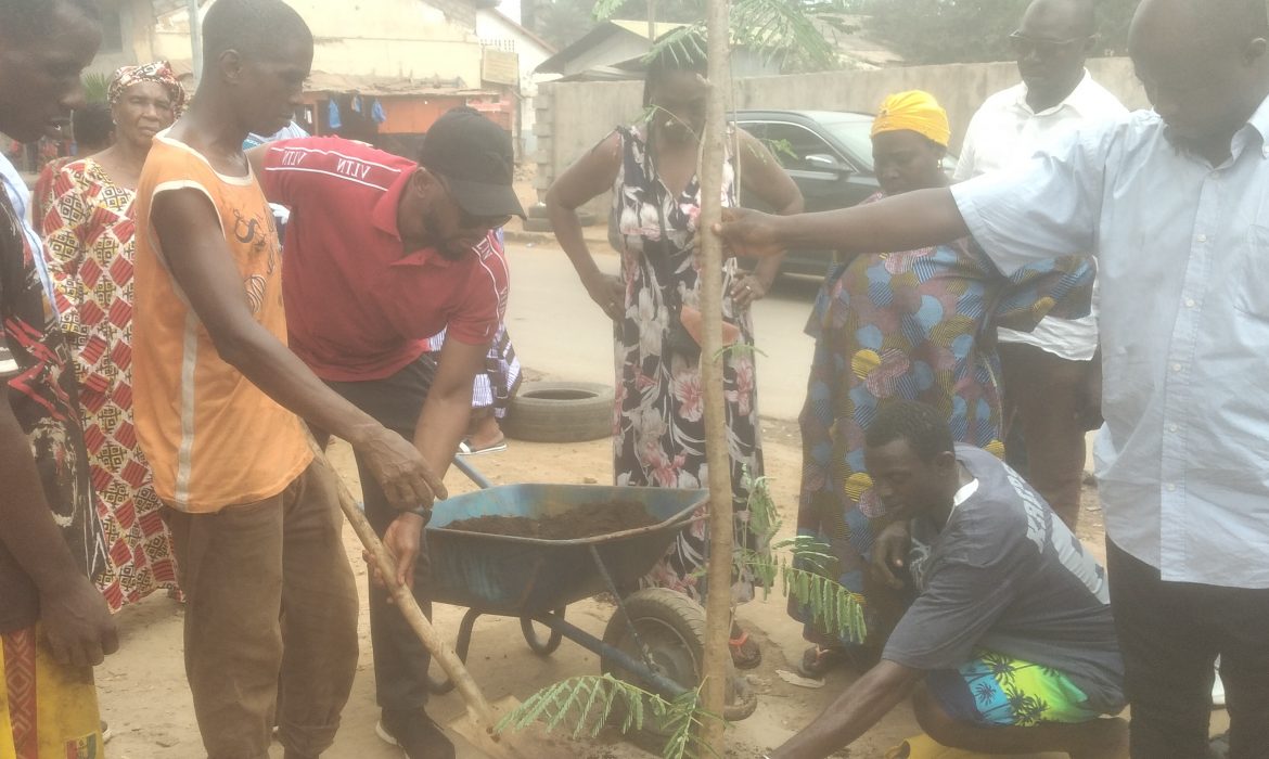 Reboisement de la ville: Des jeunes  de Kaloum en collaboration avec la Coordination Nationale « Guinée debout pour le développement » lancent  une vaste campagne