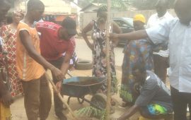 Reboisement de la ville: Des jeunes  de Kaloum en collaboration avec la Coordination Nationale « Guinée debout pour le développement » lancent  une vaste campagne