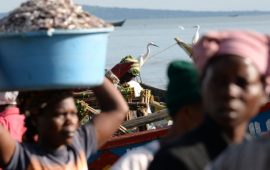 Pêche: Un partenariat pour les femmes et les jeunes pêcheurs en Afrique