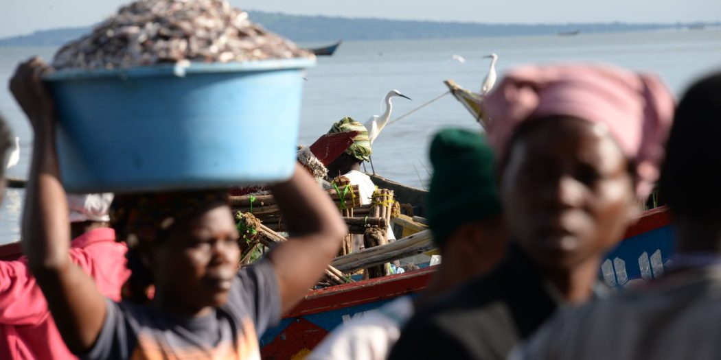 Pêche: Un partenariat pour les femmes et les jeunes pêcheurs en Afrique