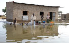 Inondations au Tchad : le bilan provisoire fait, au moins, 60 morts