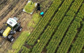 Autonomisation des jeunes: Formation innovante pour développer la chaîne de valeur du riz