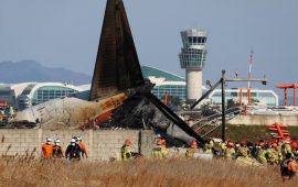 179 morts dans un crash en Corée du Sud : L’avion serait entré en « collision » avec des oiseaux…