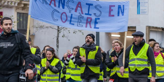 IMG_0992-660x330 (1)