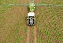 Économie verte / AGES 2026 : Plus de 50 projets africains prêts pour financement