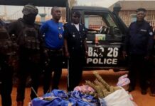 Mandiana : une jeune dame interpellée avec 16 kilogrammes de cannabis et 7 kilogrammes de graines de chanvre indien