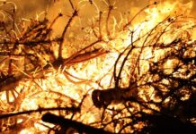 Changement climatique /Catastrophes naturelles : l’Afrique perd trois milliards $ en 2025