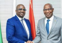 Guinée / Investissement et projets structurants : le Premier ministre échange avec le Groupe Schiba