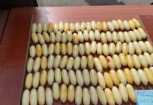 Guinée : cinq (5) trafiquants présumés arrêtés à Conakry, dont deux femmes, avec plusieurs quantités de cocaïne dans leur ventre