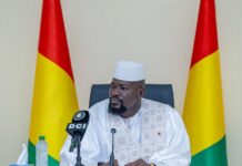 Guinée / Décret : déclassement de 148,7 hectares de la forêt classée du mont Kakoulima pour construire un centre d’enfouissement