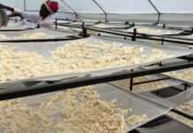 Économie /Guerre contre l’Iran : un double choc économique menace l’Afrique