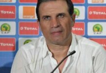 Guinée / Sport : l’entraîneur du Syli convoque 25 joueurs pour affronter l’Irlande du nord
