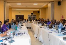 Environnement : Plusieurs pays de la sous-région à Conakry pour la validation du plan de convergence forestier 2025-2035 de la CEDEAEnvironnement : Plusieurs pays de la sous-région à Conakry pour la validation du plan de convergence forestier 2025-2035 de la CEDEAO