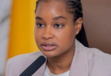 Guinée/Environnement : suspension des activités de coupe, d’importation et de transport de bois au titre du repos biologique