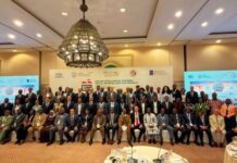 Politique : La Guinée réintegre l’Association des autorités électorales africaines après plusieurs années d’absence