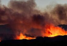 L’incendie des Pyrénées-Orientales toujours pas maîtrisé, les pompiers reprennent les opérations