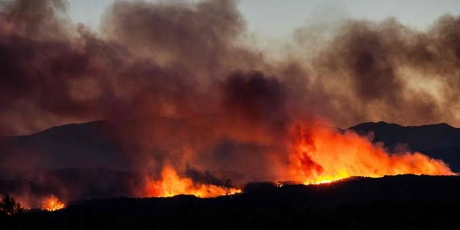 incendie-660x330 (1)