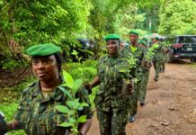 Guinée/Environnement : Lancement de la 2eme édition de la campagne « Une Femme, Un Arbre » à Conakry