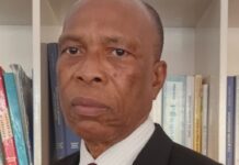Libre opinion : Ma contribution au débat sur l’Eco, la future monnaie unique de la CEDEAO. Par : Mohamed CONTE, Économiste, consultant