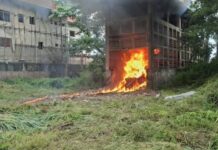 Guinée / Lutte contre la drogue : Plus de 1,5 tonne de stupéfiants incinérée à Enta
