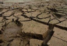 « Une carte postale du futur » : le « Super El Niño » menace de faire 450 000 morts
