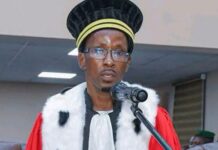 Guinée / Lutte contre la chicha : Le Procureur général requiert Gendarmerie, Police et Services spéciaux